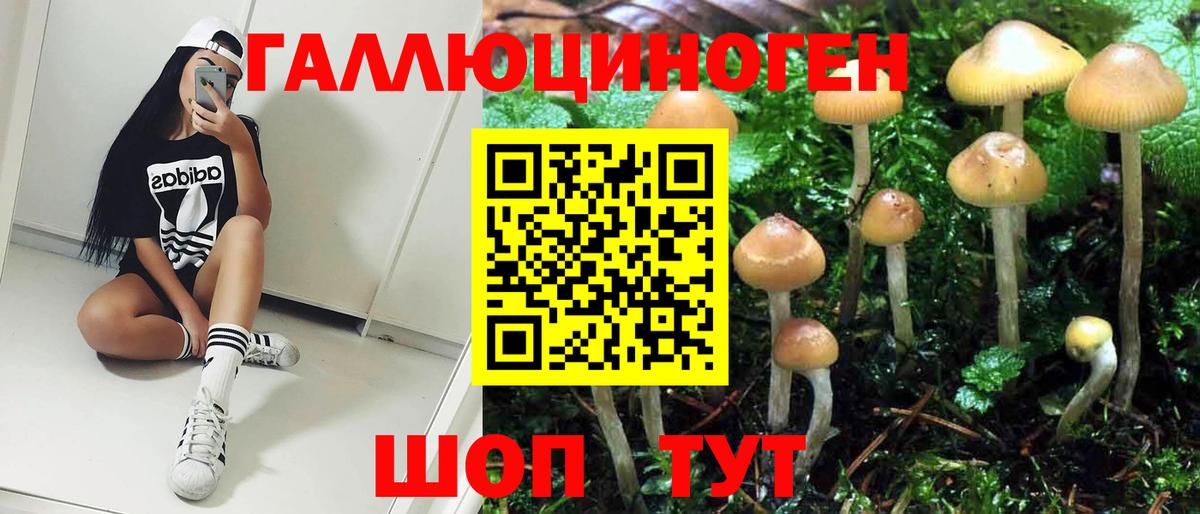 Псилоцибиновые грибы Magic Shrooms  Псилоцибиновые грибы GOLDEN TEACHER  Вышний Волочёк  Вход с VPN 