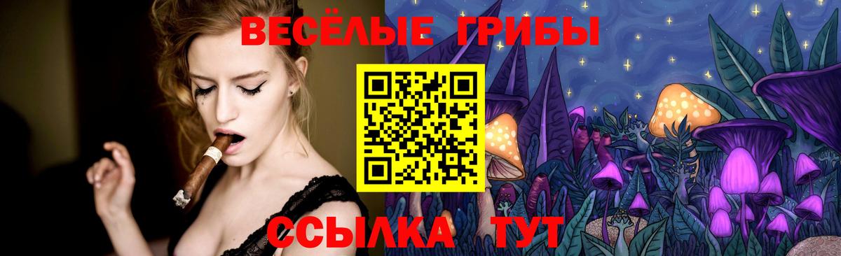 Галлюциногенные грибы GOLDEN TEACHER Вышний Волочёк